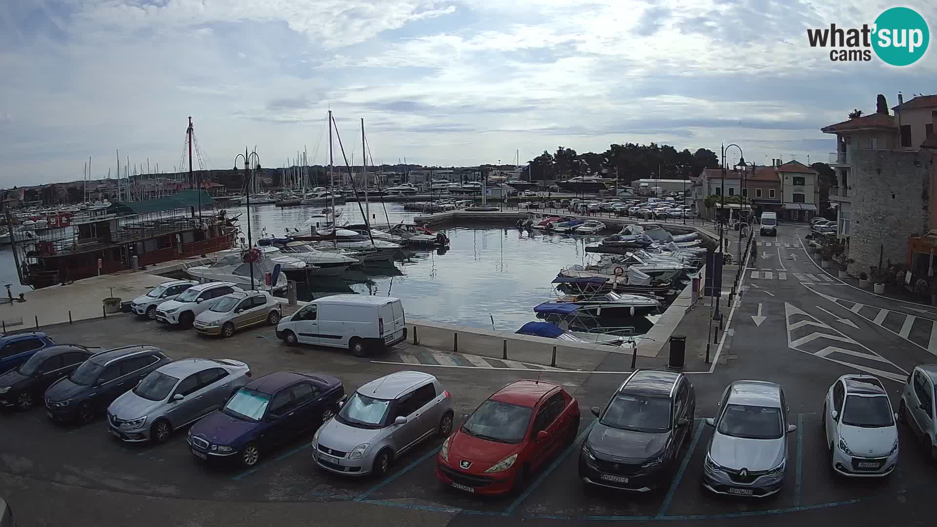 Novigrad | Porporela marina