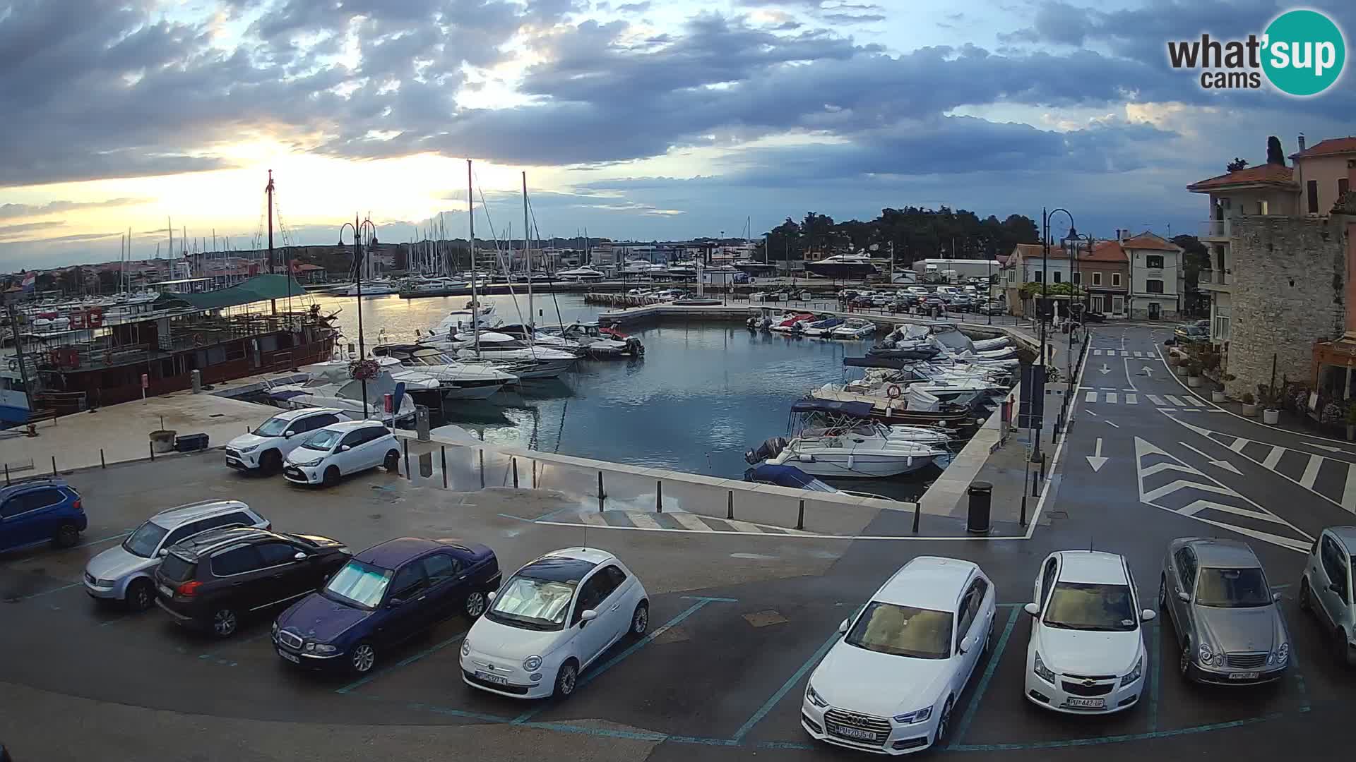 Novigrad | Porporela marina