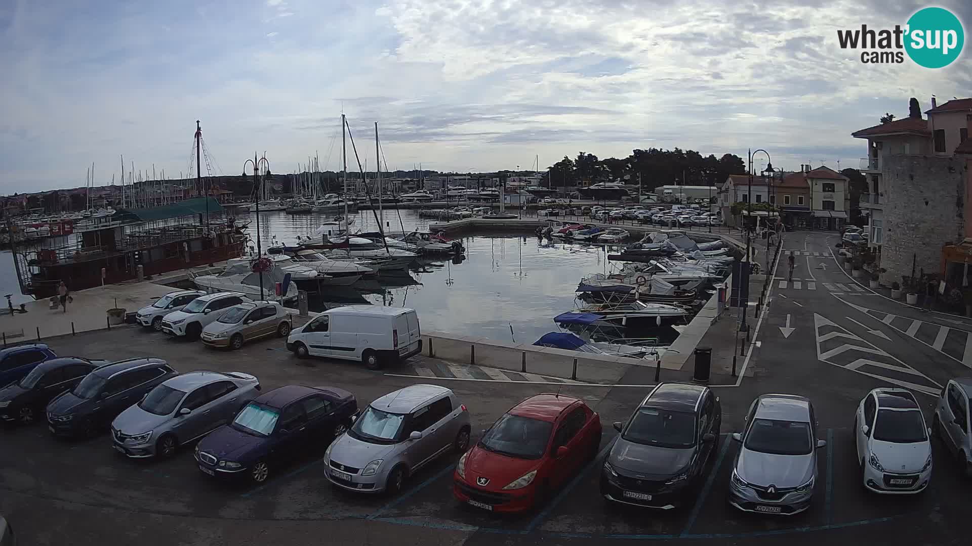 Novigrad | Porporela marina