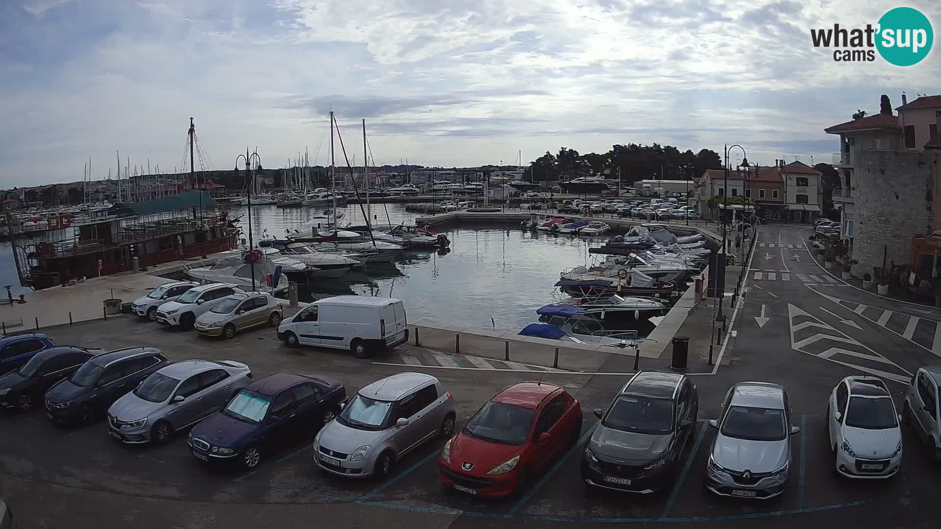 Novigrad | Porporela marina