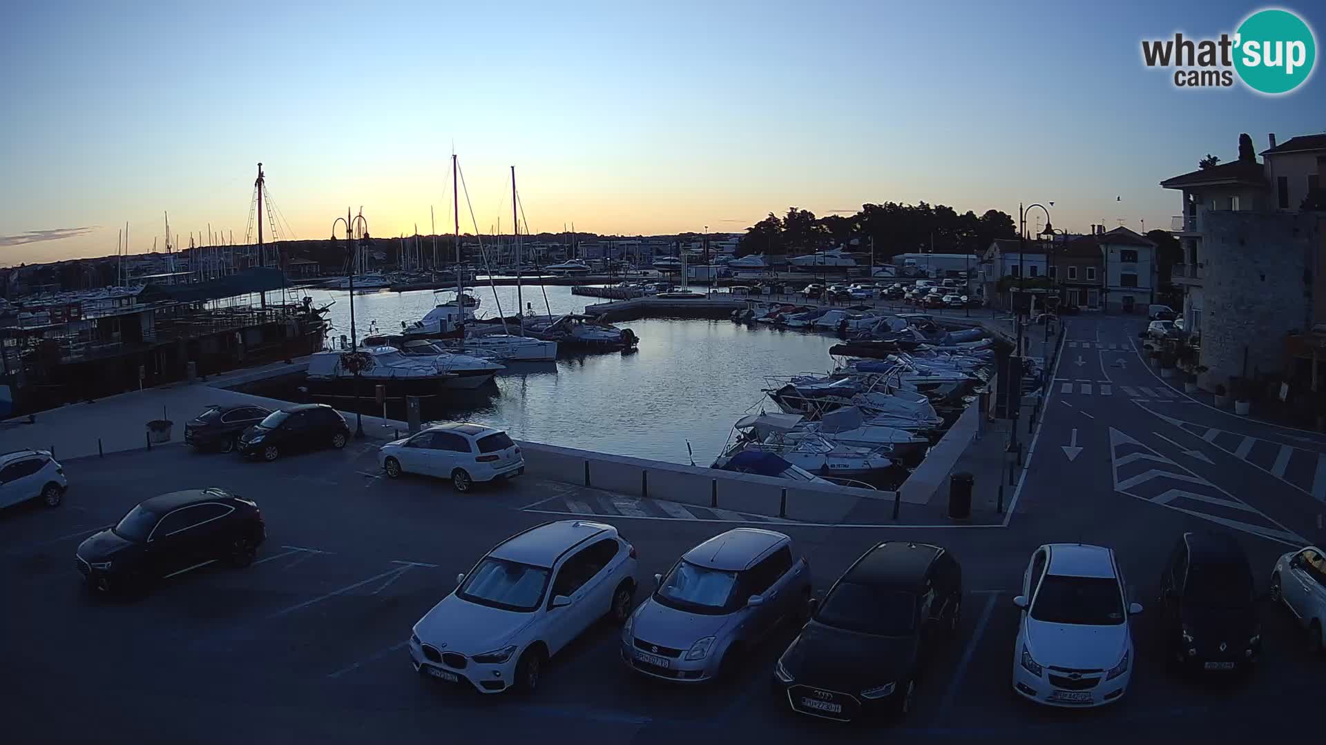 Novigrad | Porporela marina