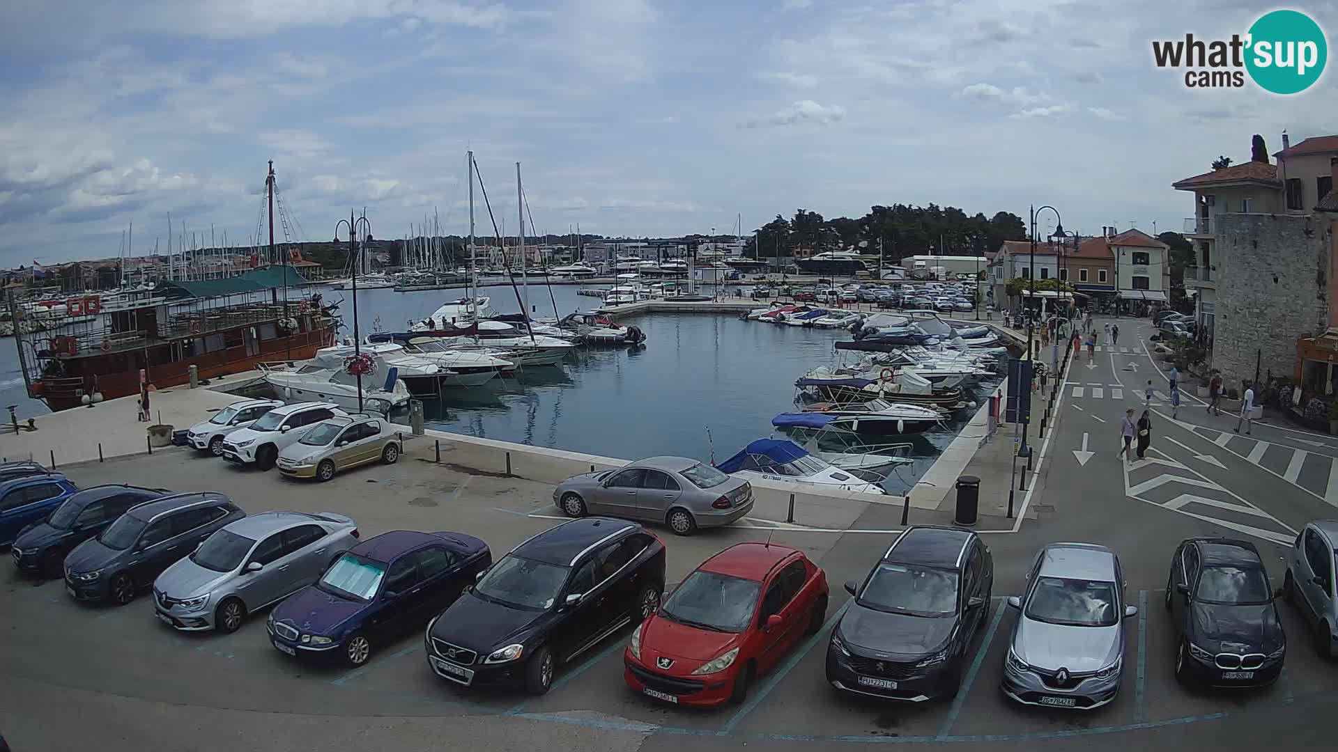 Novigrad | Porporela marina