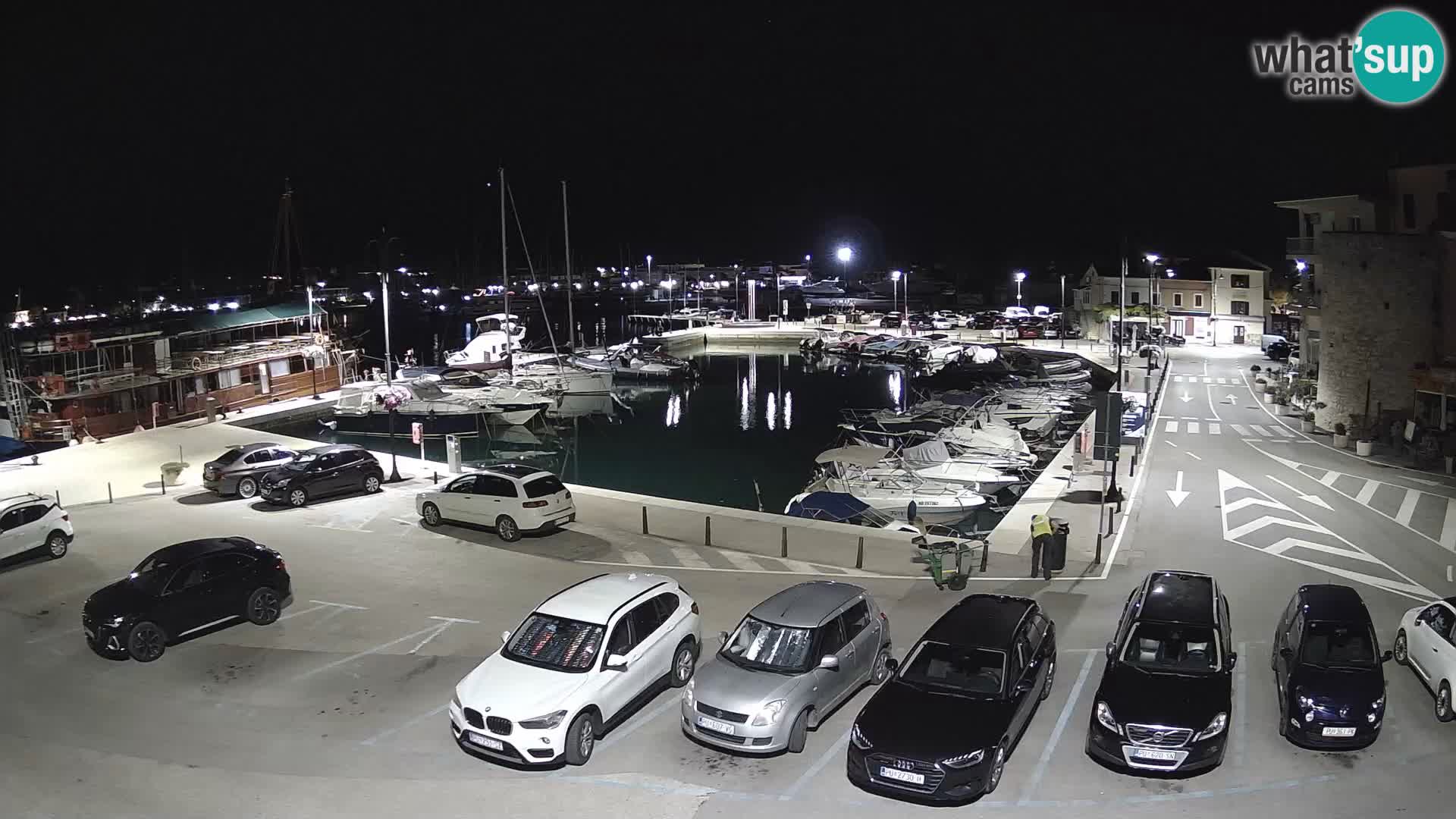 Novigrad | Porporela marina