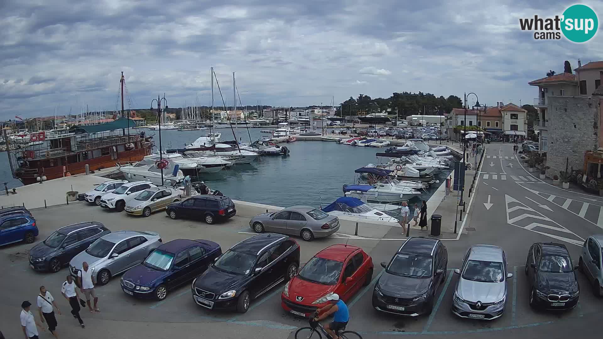 Novigrad | Porporela marina