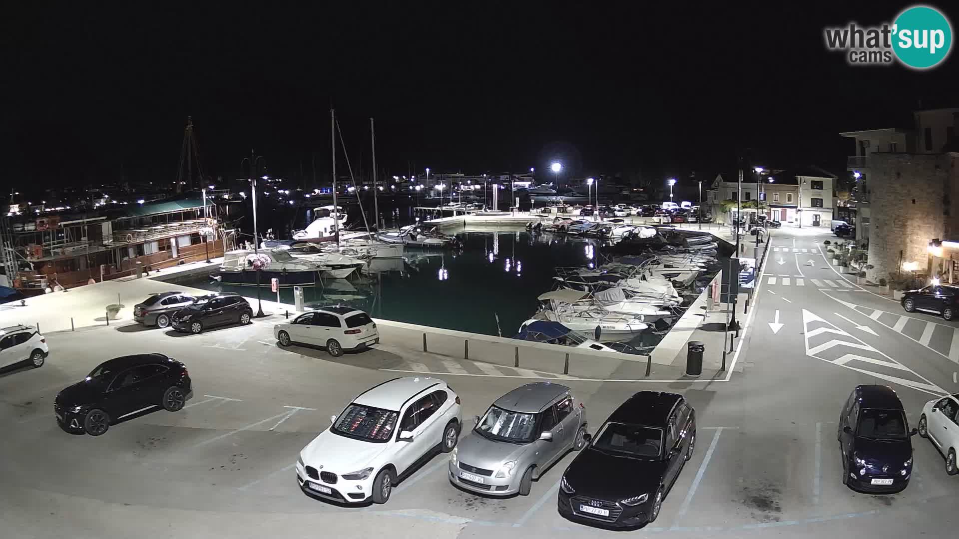 Novigrad | Porporela marina
