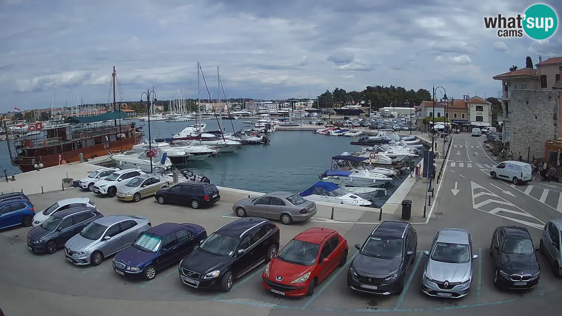 Novigrad | Porporela marina