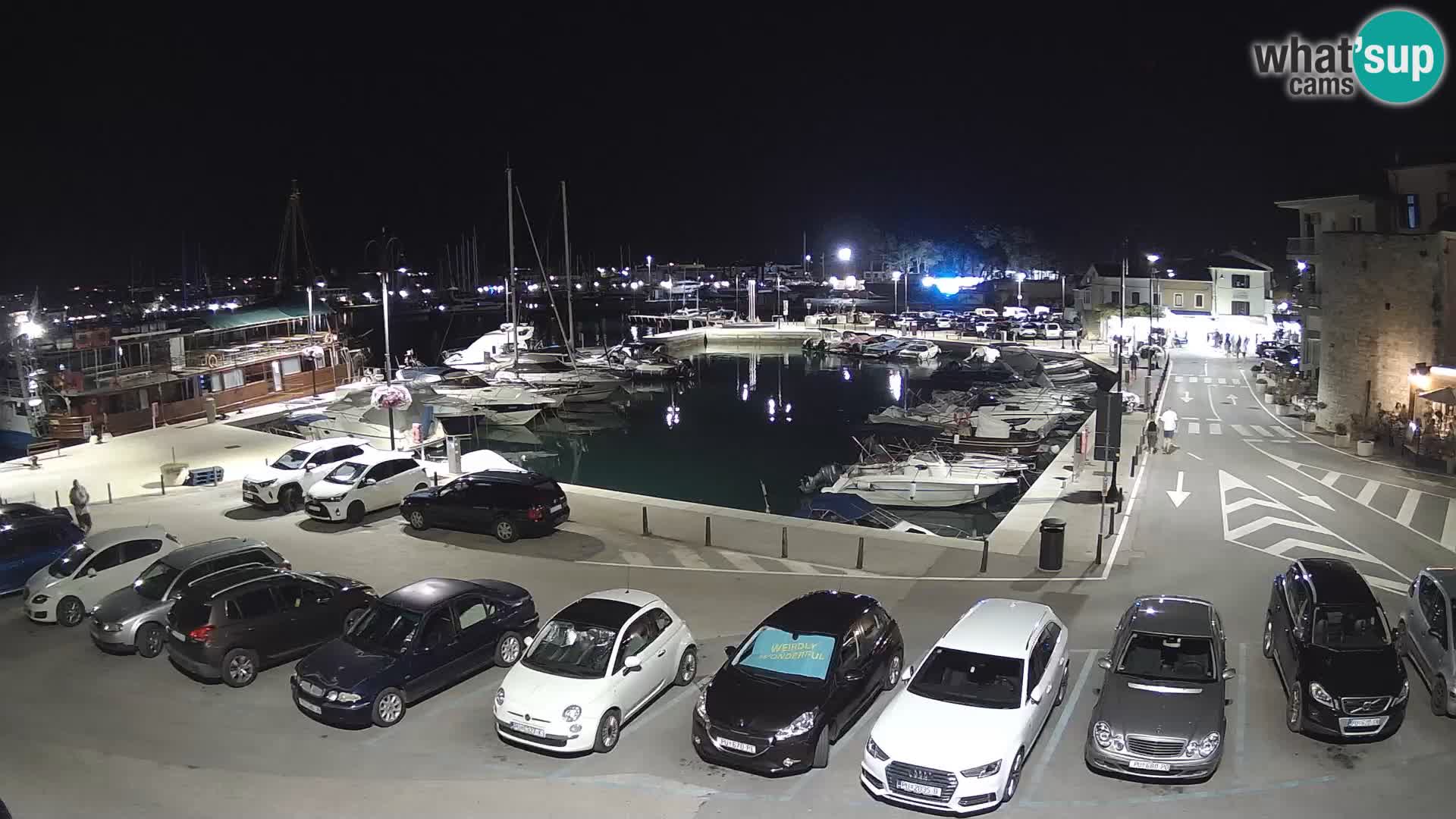 Novigrad | Porporela marina