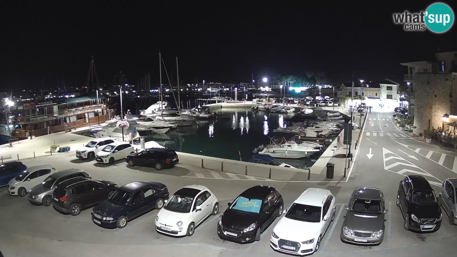 Novigrad | Porporela marina