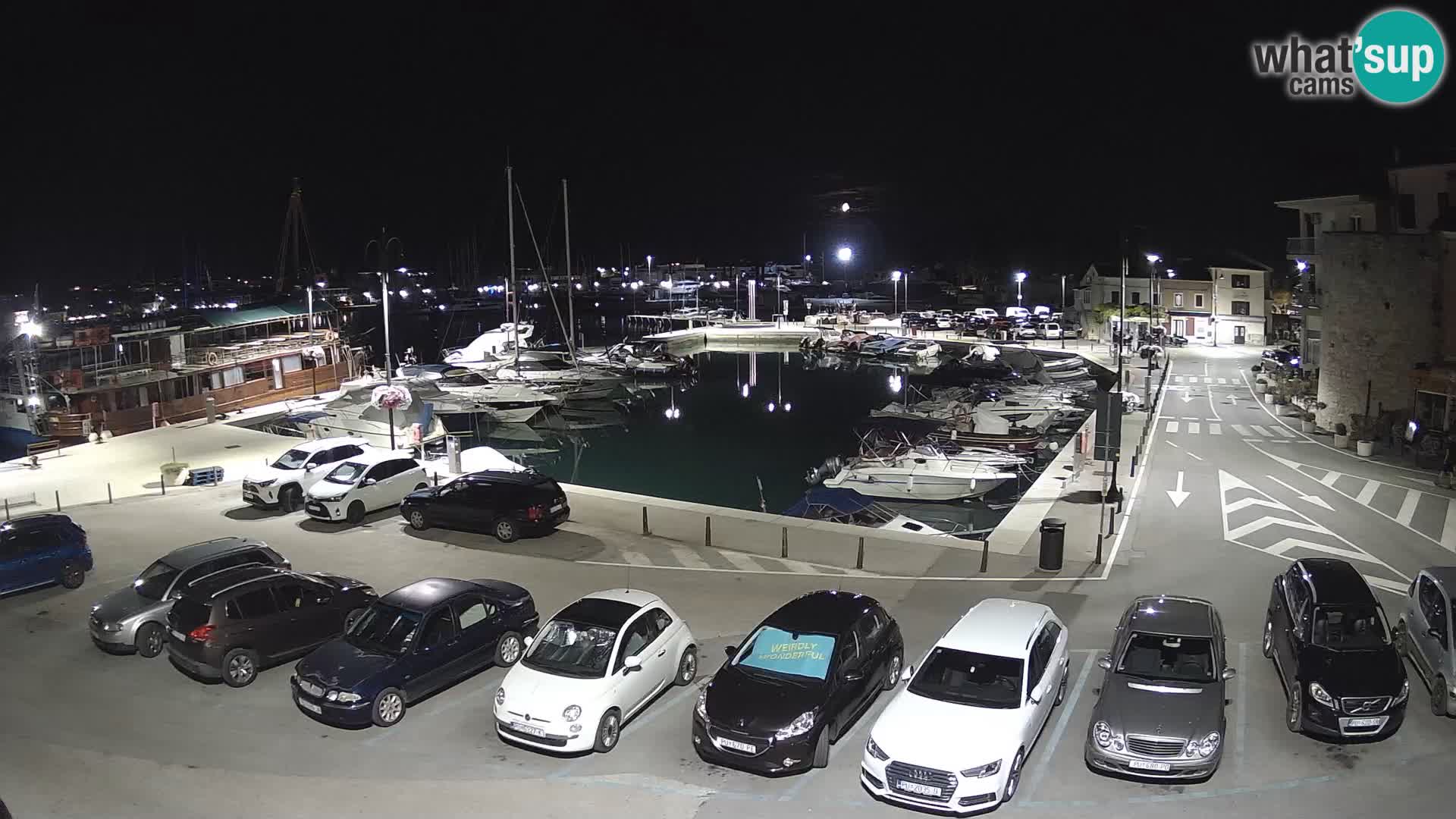 Novigrad | Porporela marina