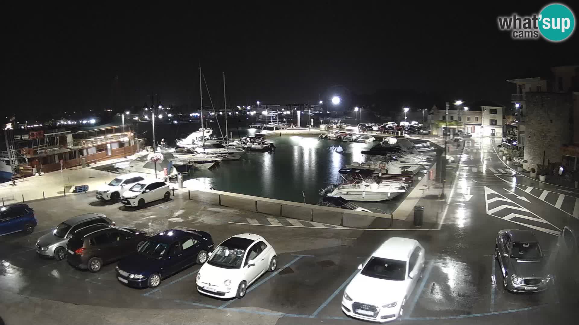 Novigrad | Porporela marina