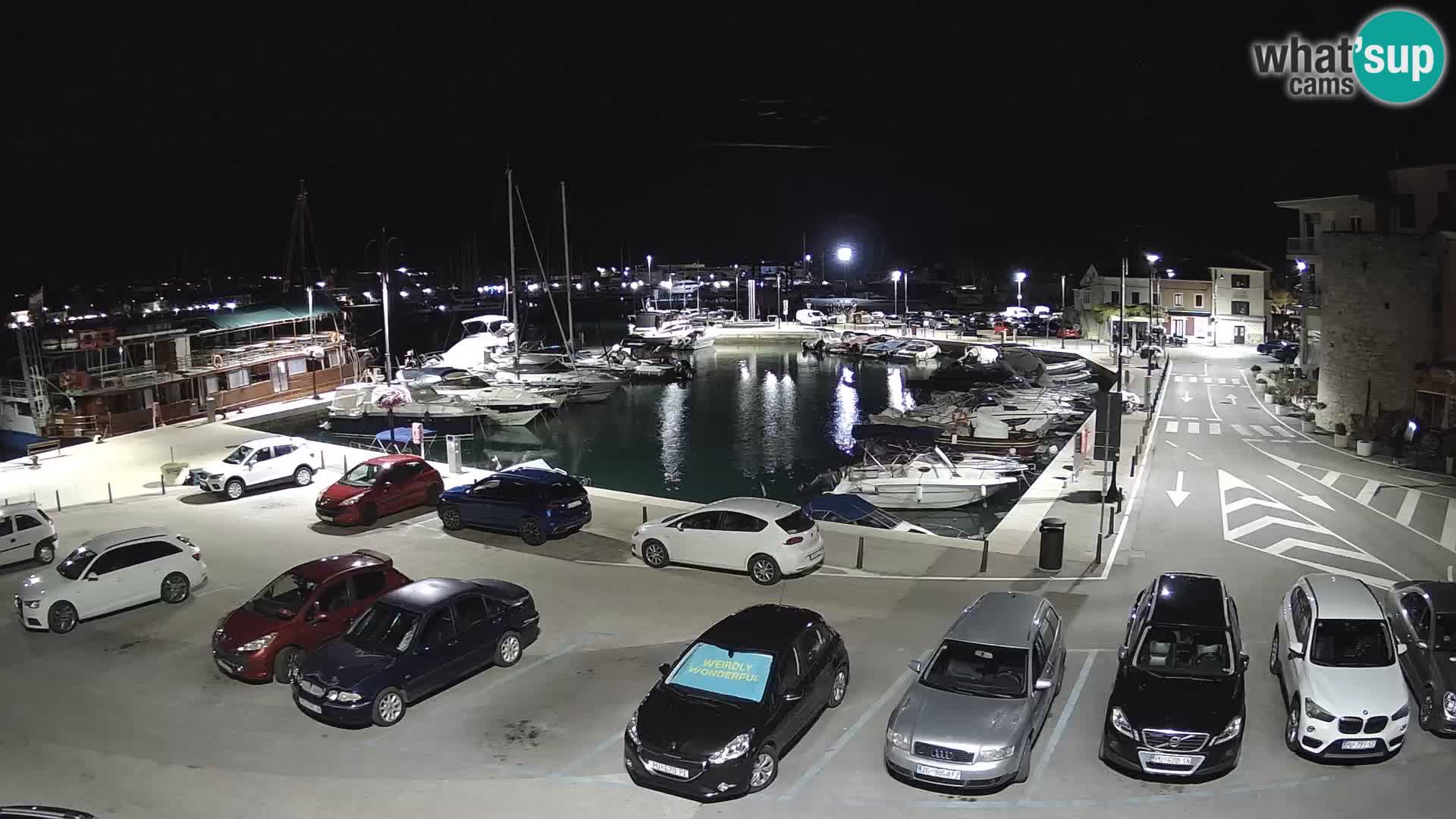 Novigrad | Porporela marina