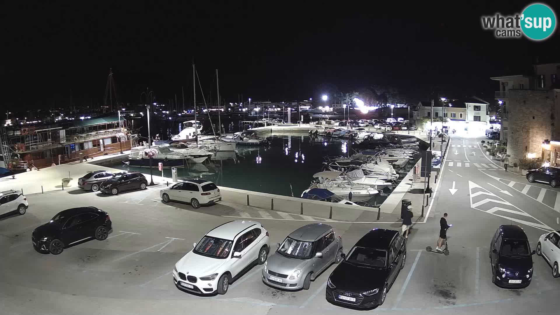 Novigrad | Porporela marina