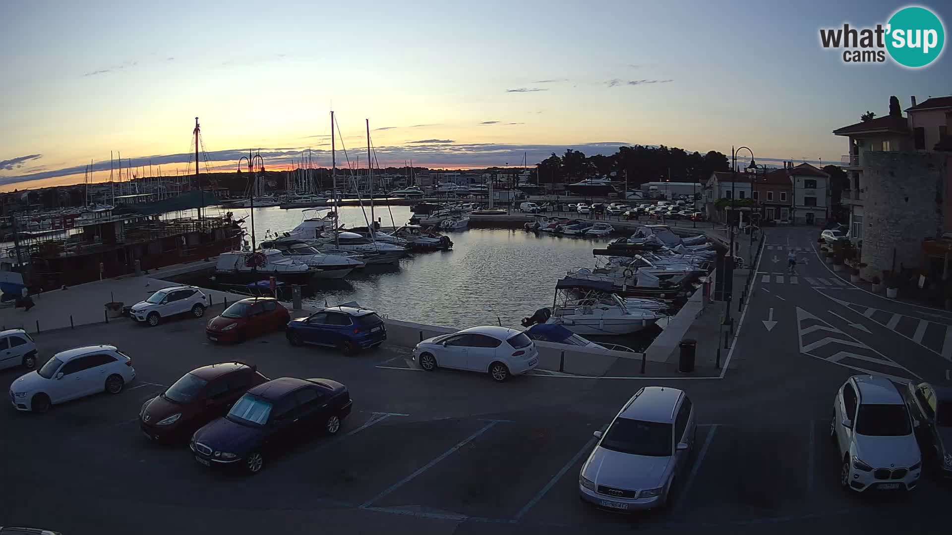 Novigrad | Porporela marina