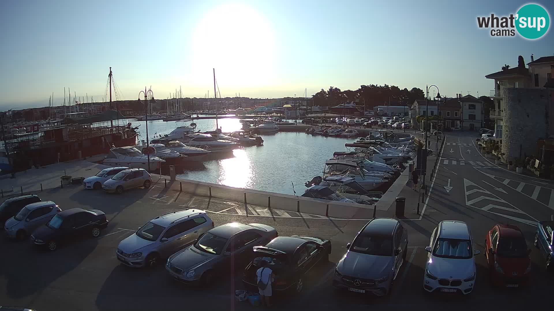 Novigrad | Porporela marina