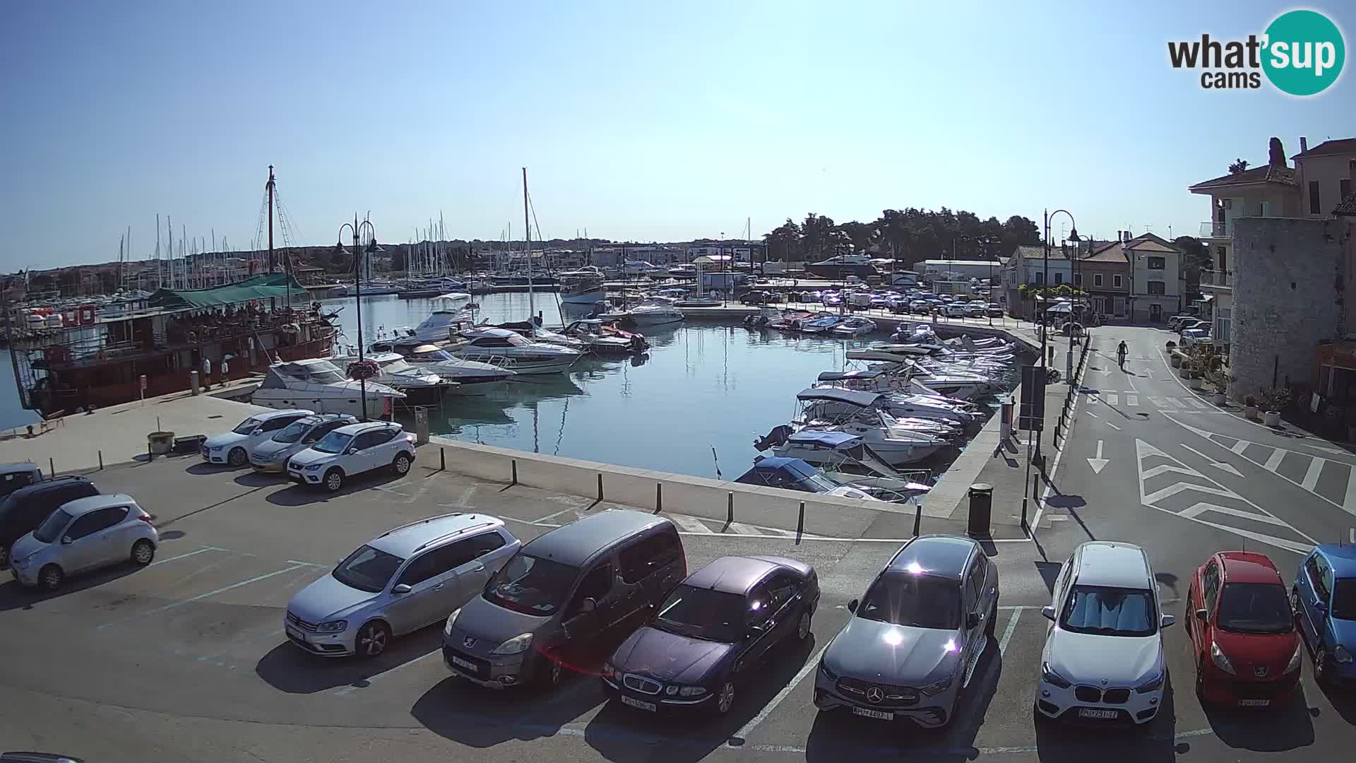 Novigrad | Porporela marina