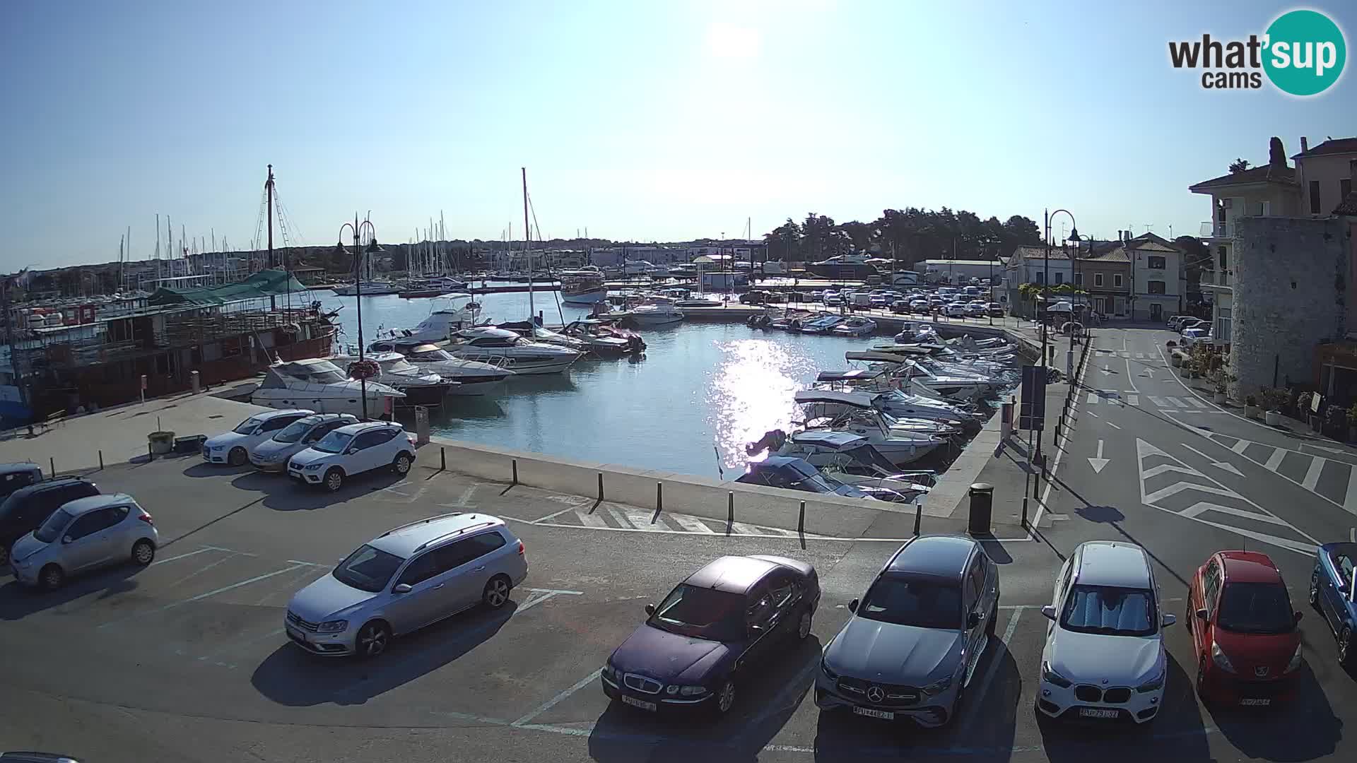 Novigrad | Porporela marina