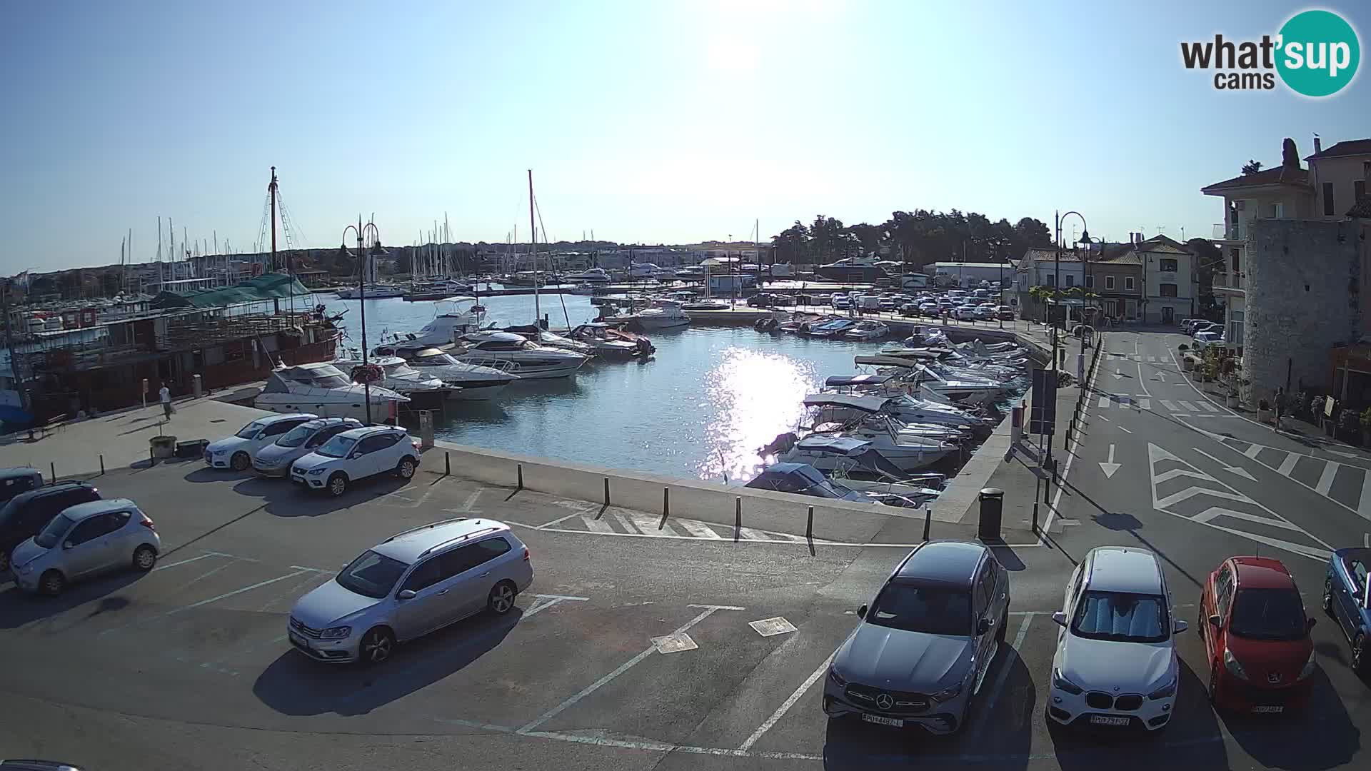 Novigrad | Porporela marina