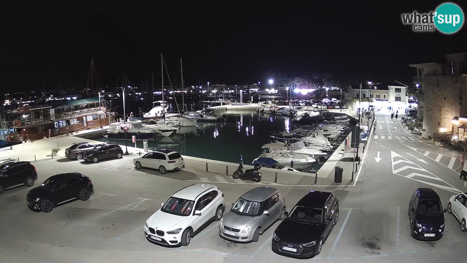 Novigrad | Porporela marina