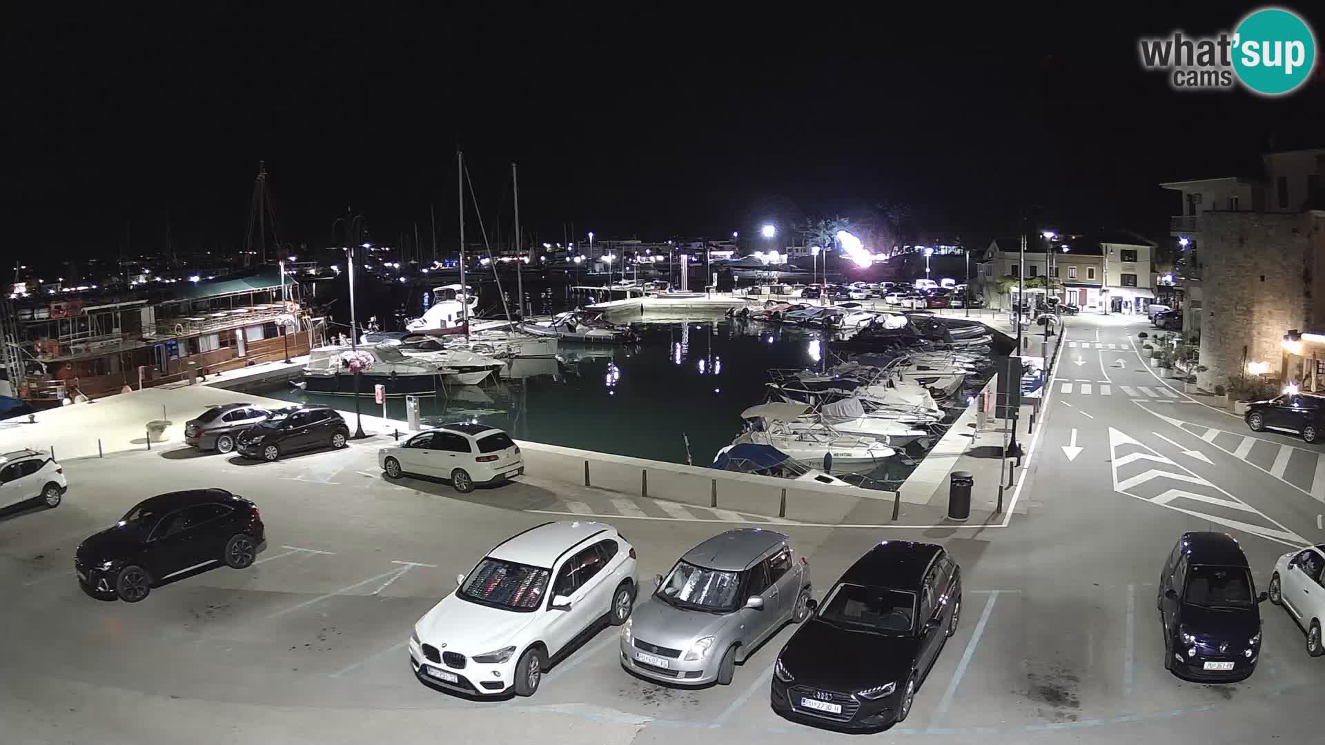 Novigrad | Porporela marina