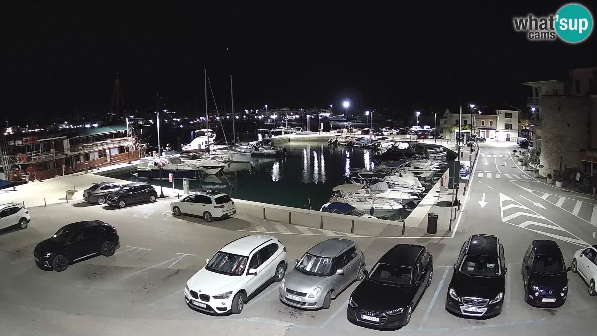 Novigrad | Porporela marina