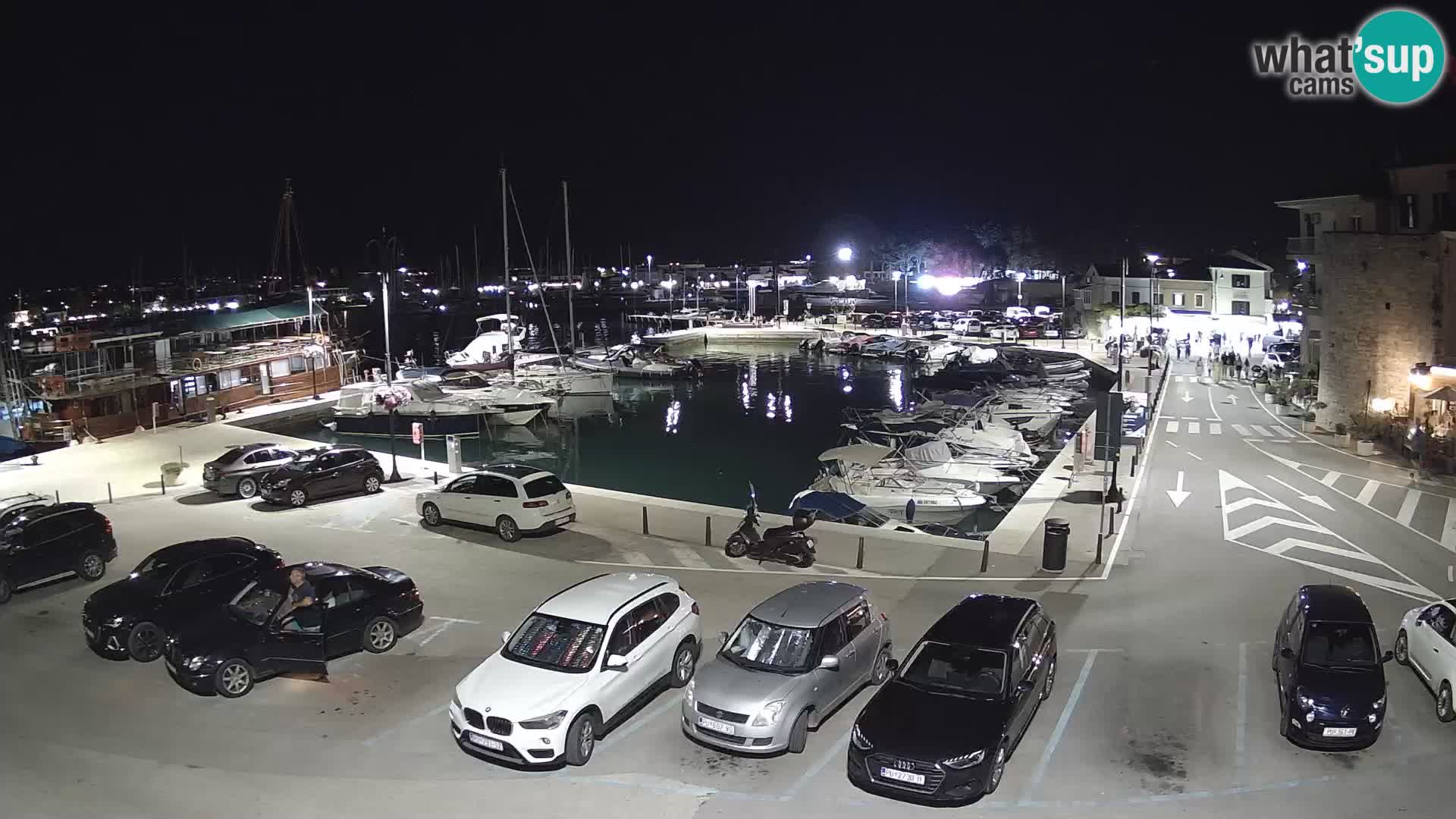 Novigrad | Porporela marina