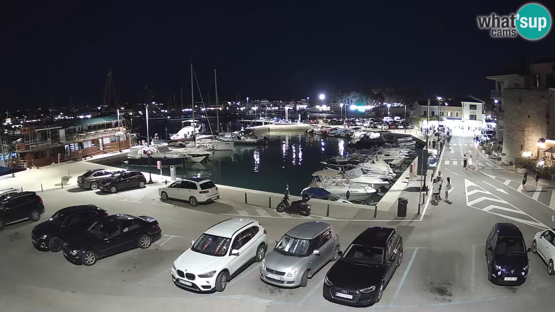 Novigrad | Porporela marina