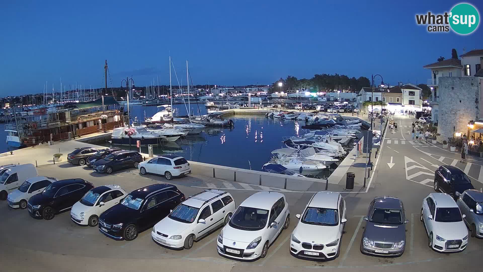 Novigrad | Porporela marina
