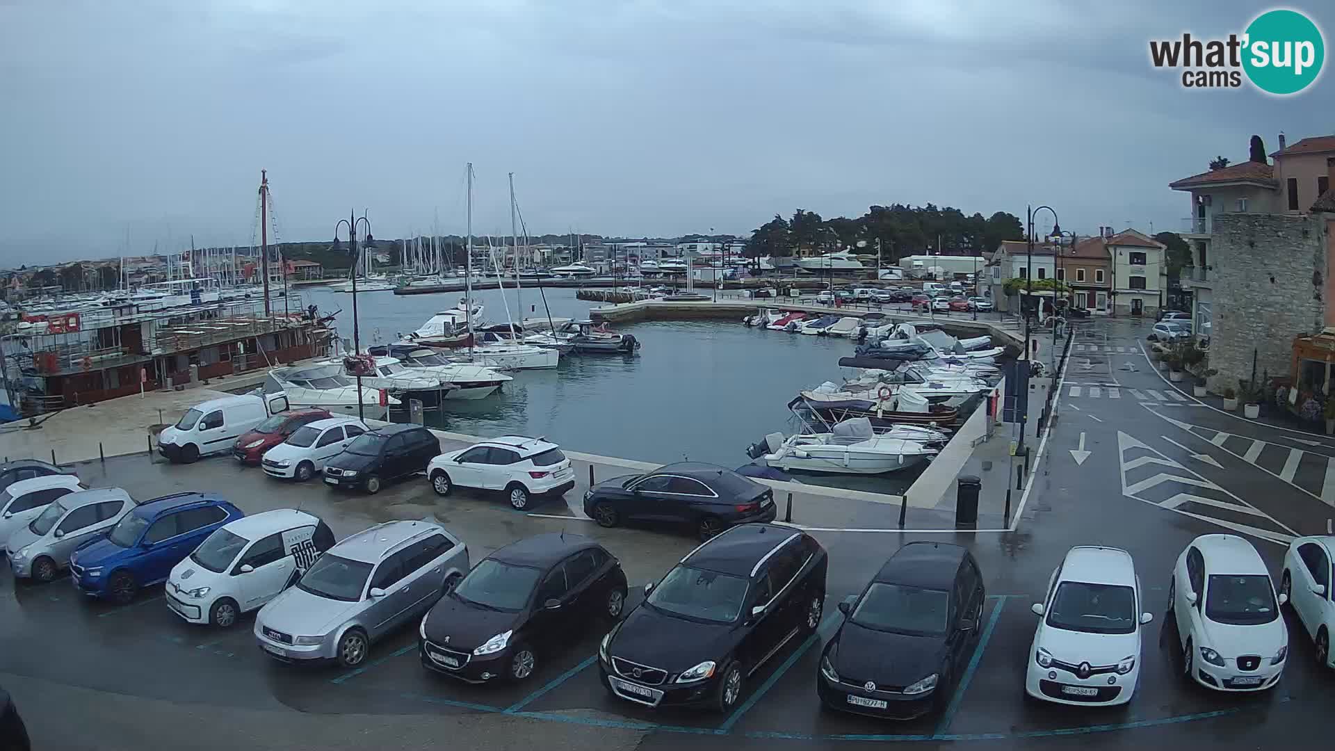 Novigrad | Porporela marina