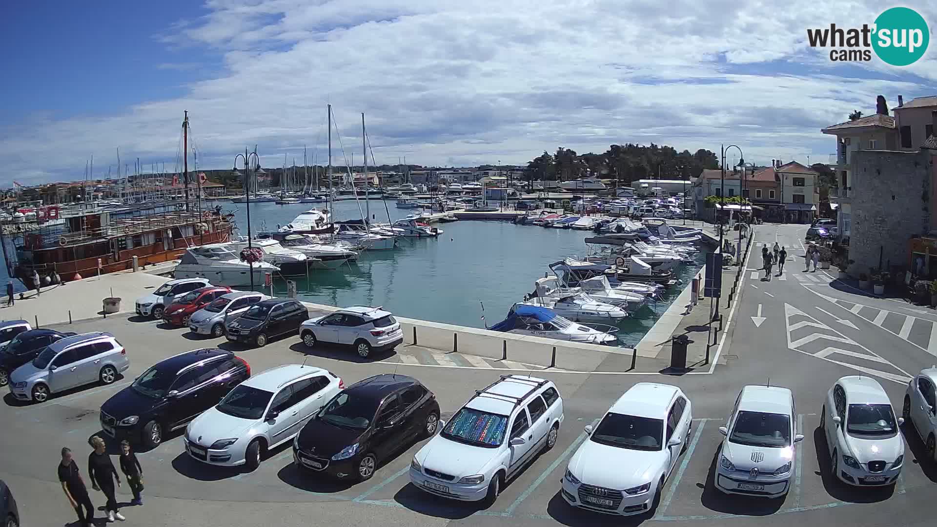 Novigrad | Porporela marina