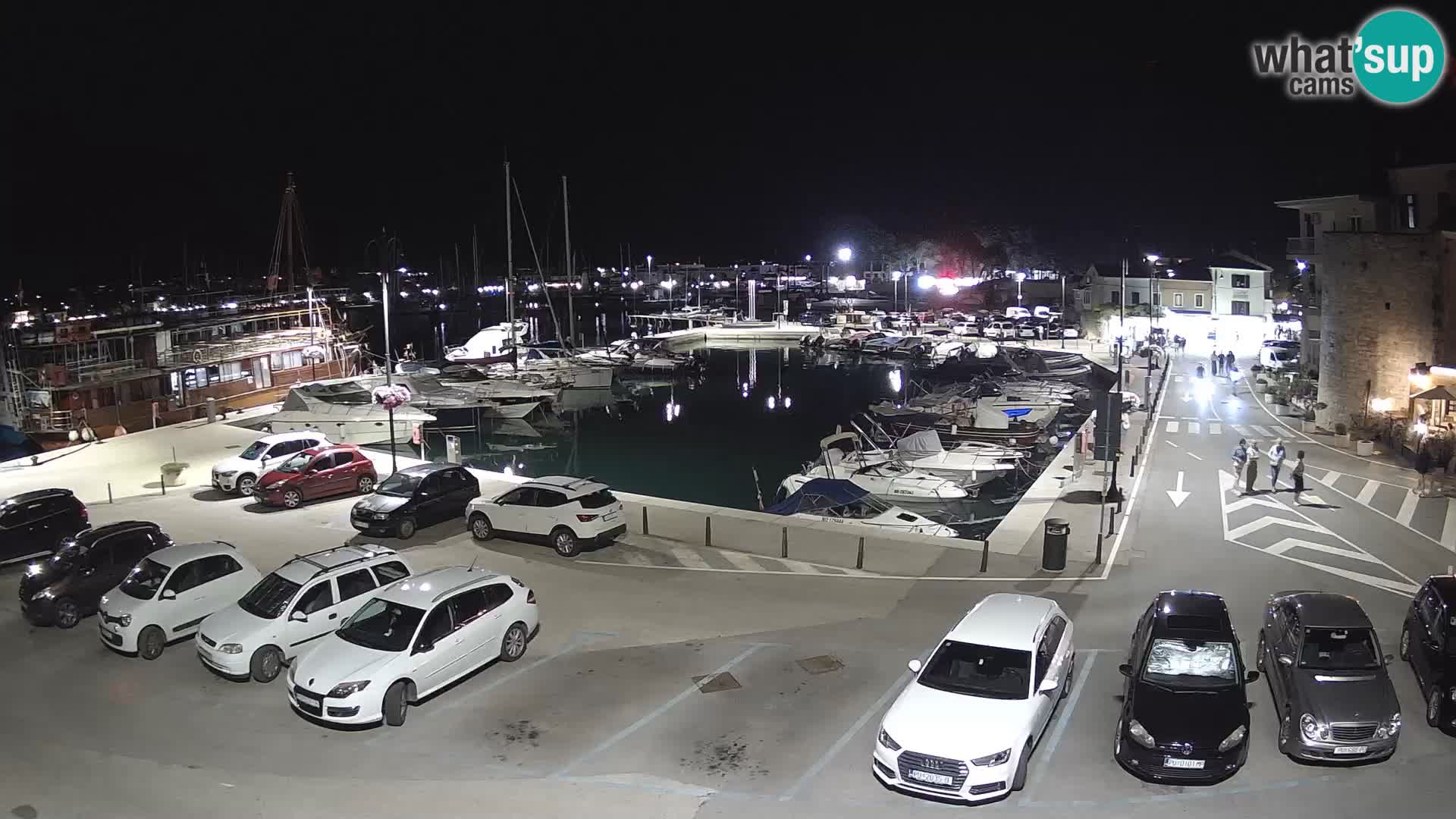 Novigrad | Porporela marina