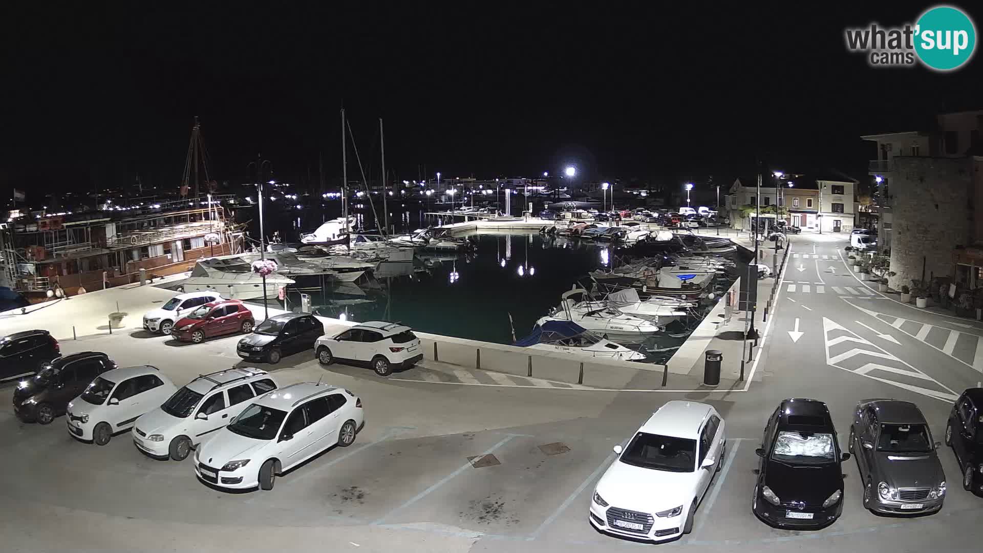 Novigrad | Porporela marina