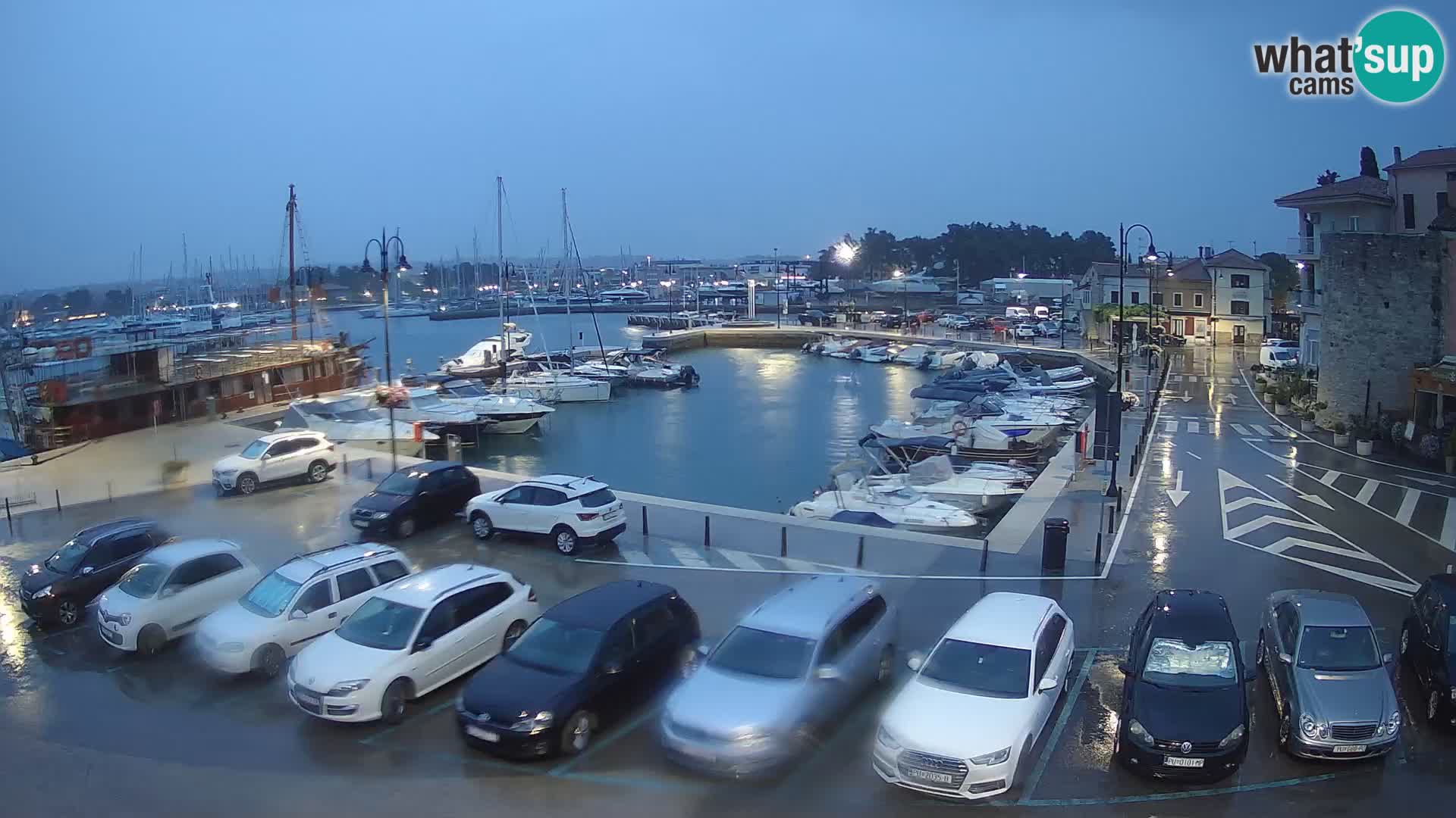 Novigrad | Porporela marina