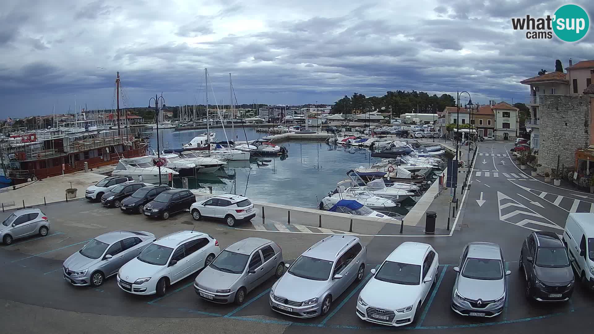 Novigrad | Porporela marina