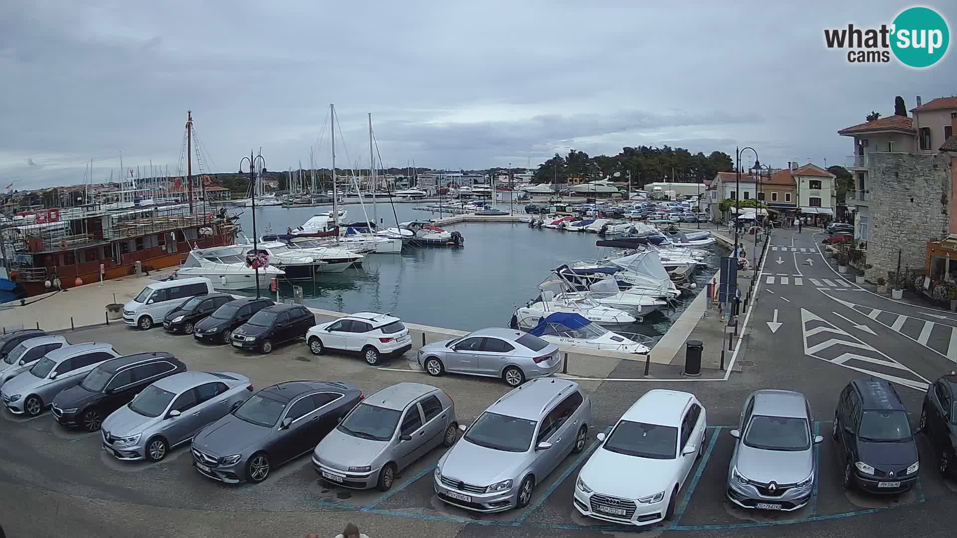 Novigrad | Porporela marina