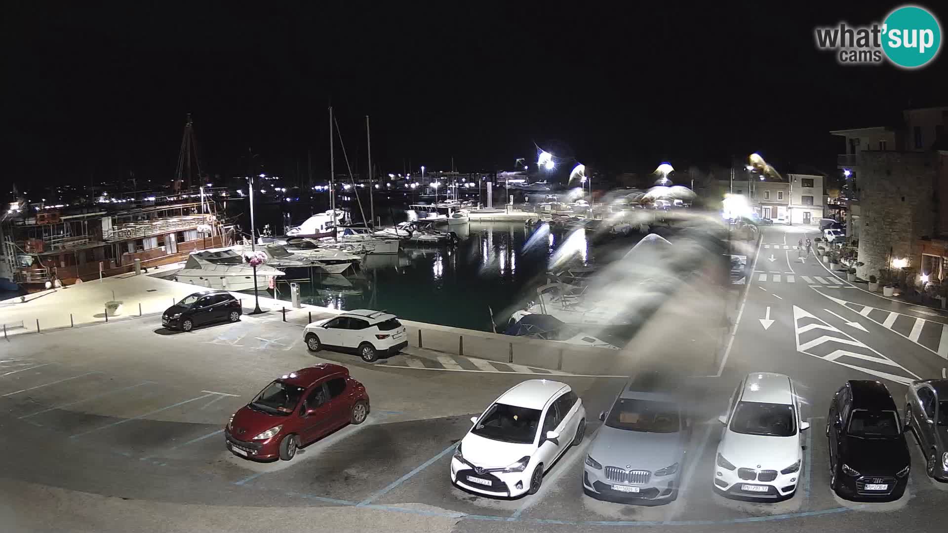 Novigrad | Porporela marina
