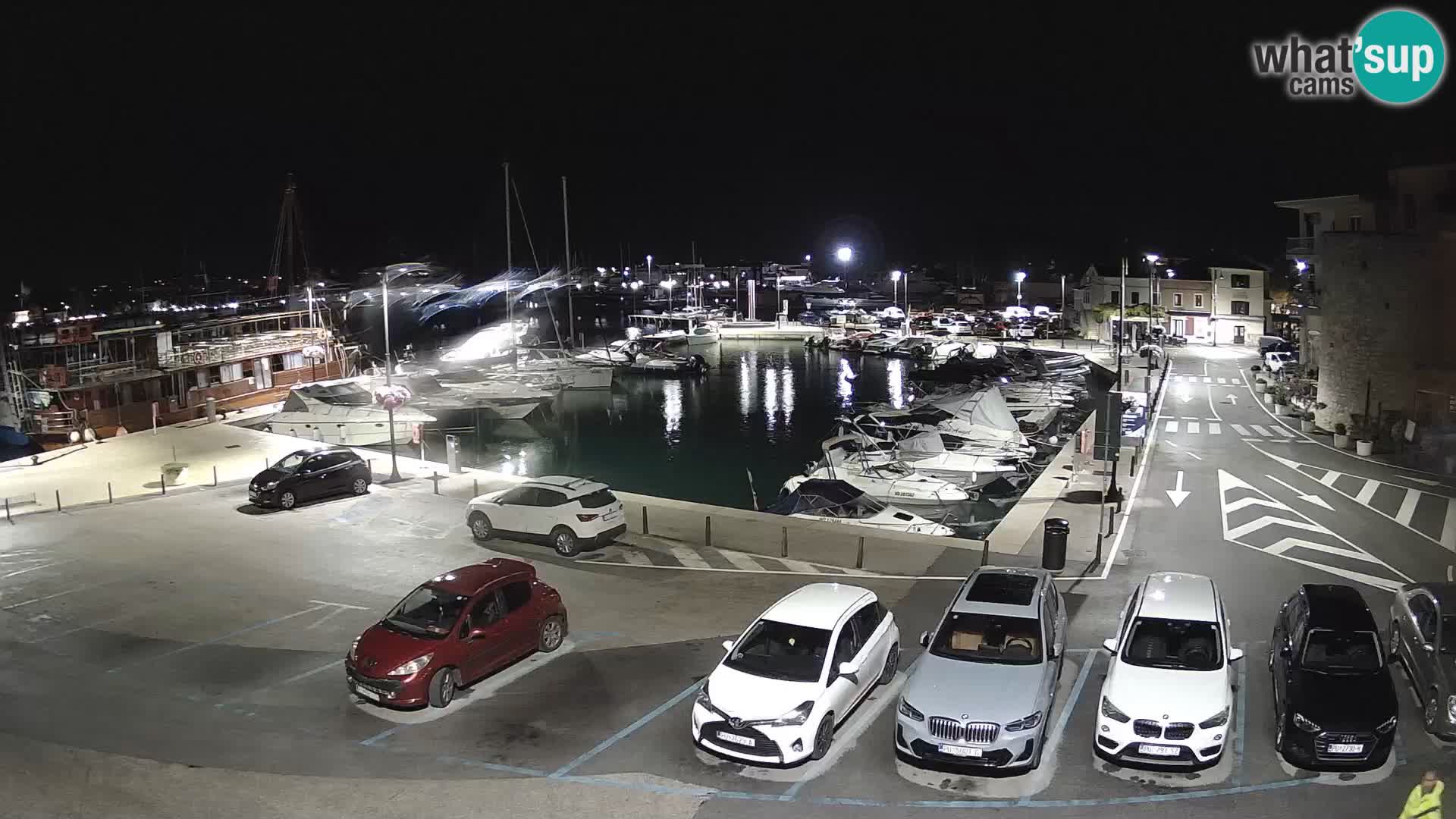 Novigrad | Porporela marina