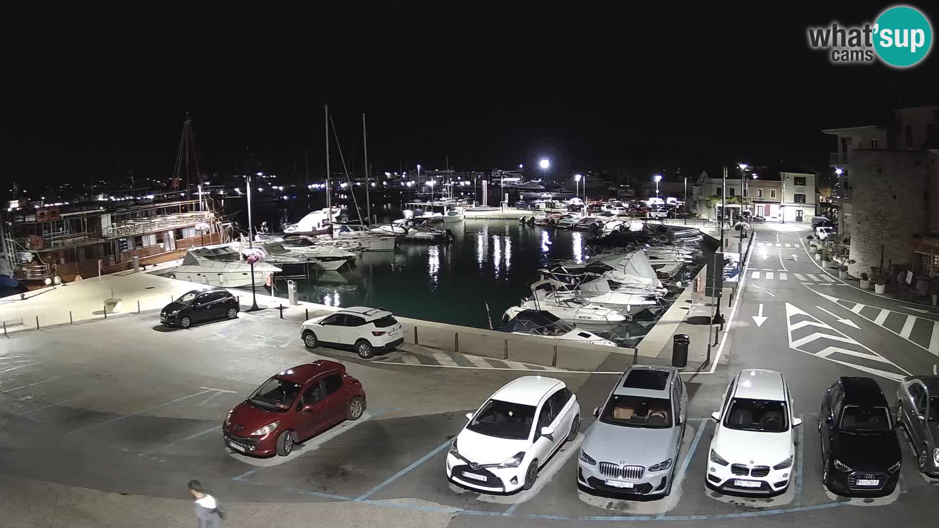 Novigrad | Porporela marina