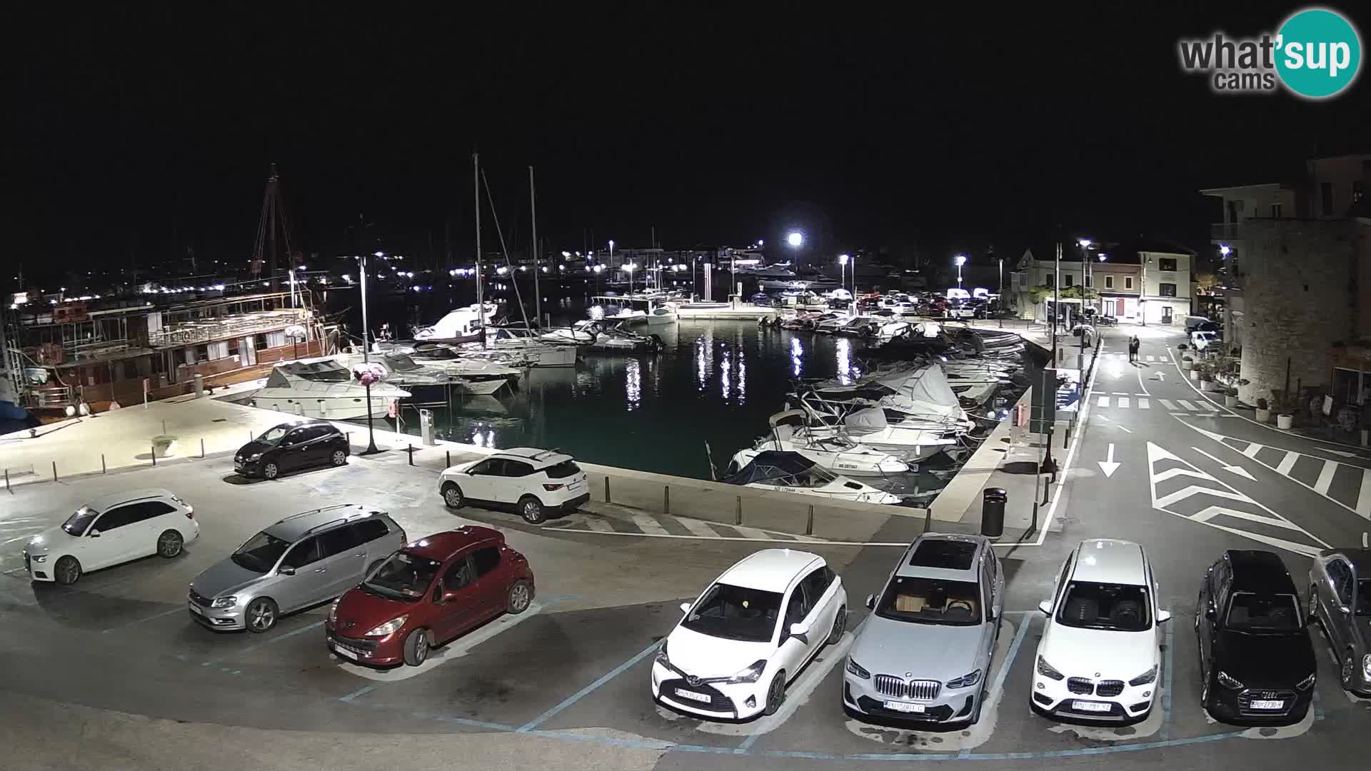 Novigrad | Porporela marina