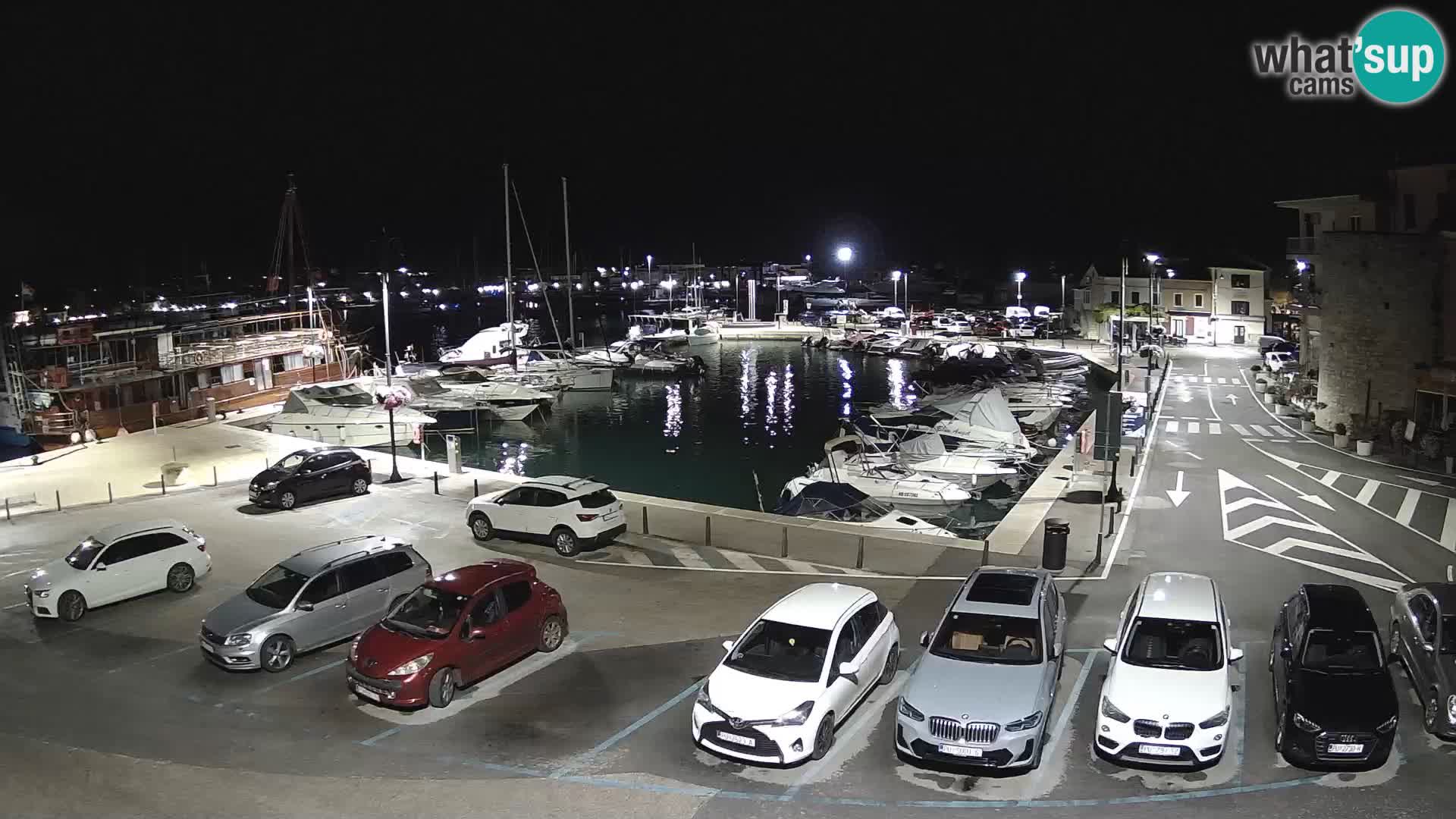 Novigrad | Porporela marina
