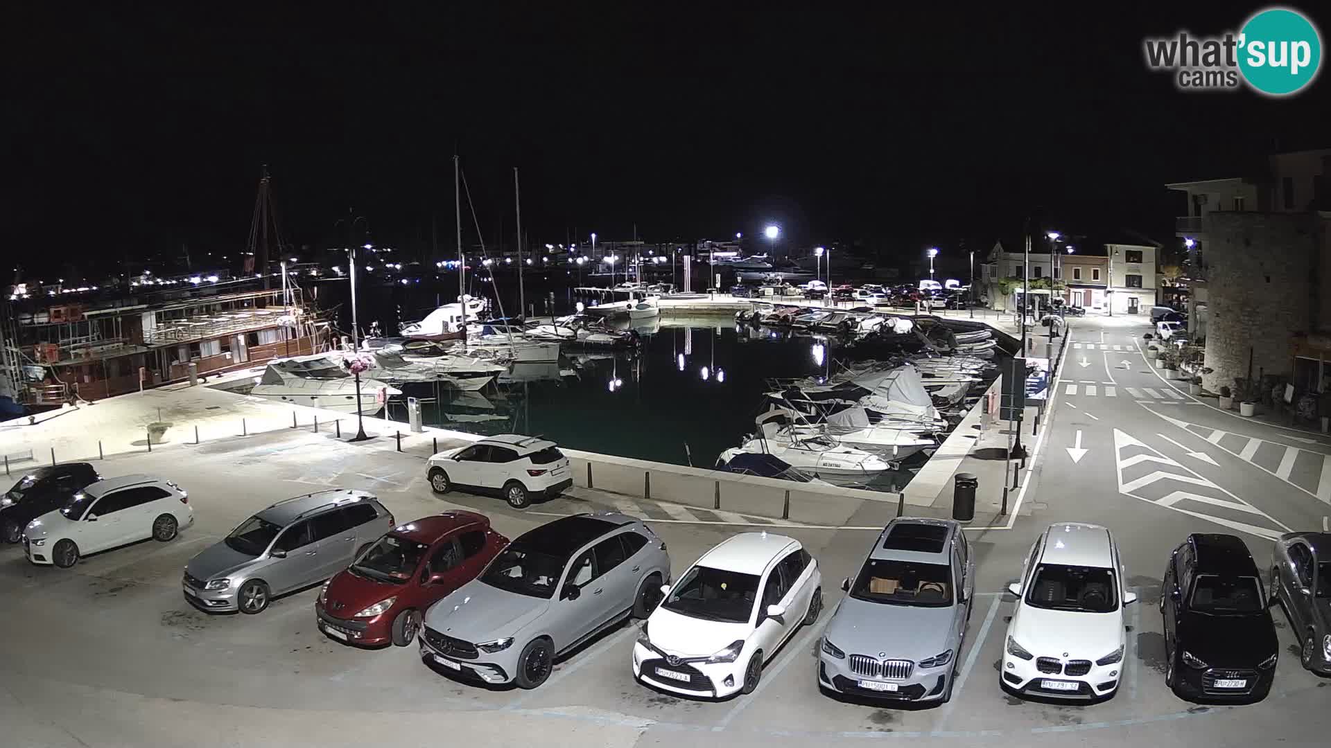 Novigrad | Porporela marina