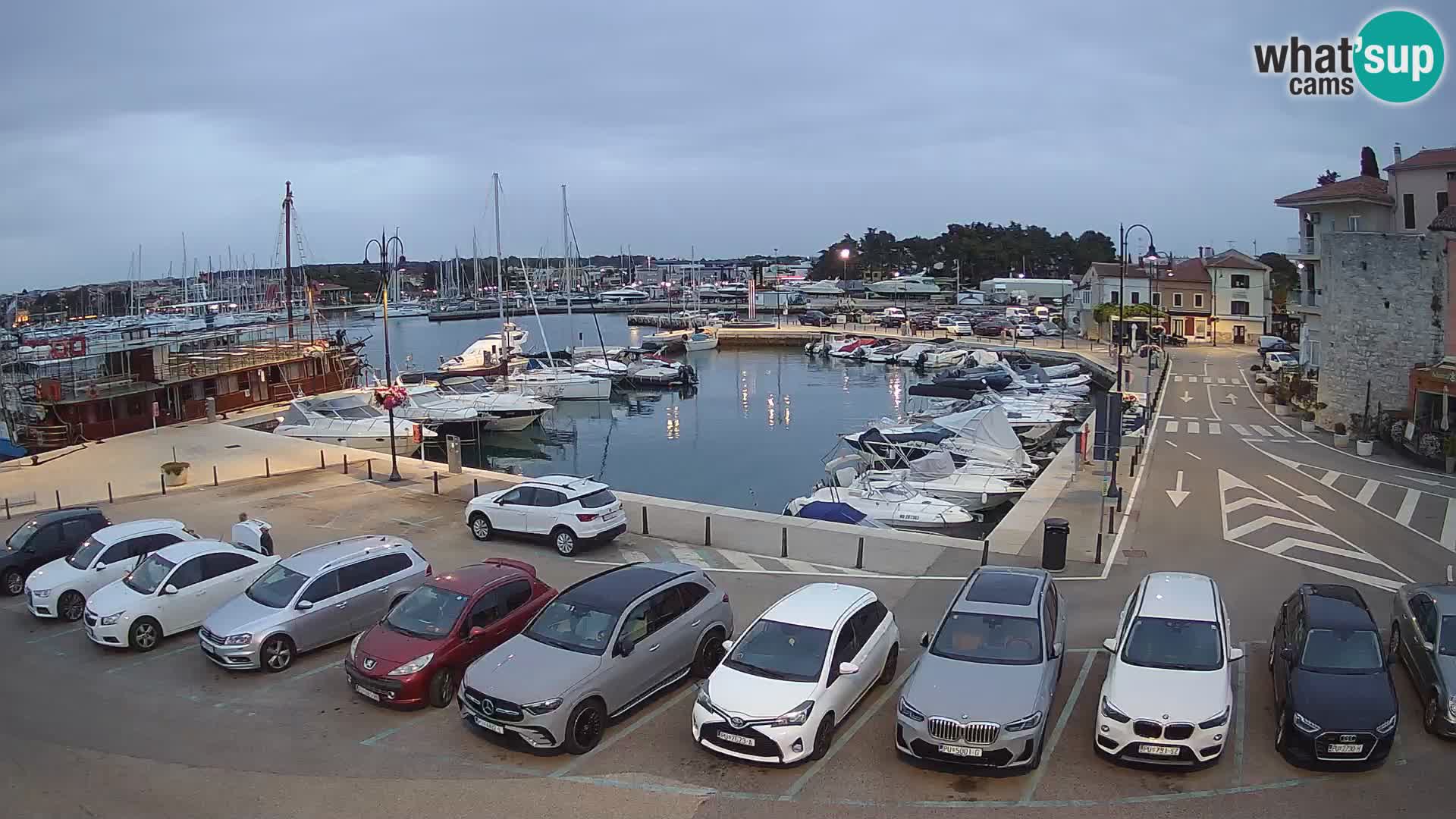 Novigrad | Porporela marina