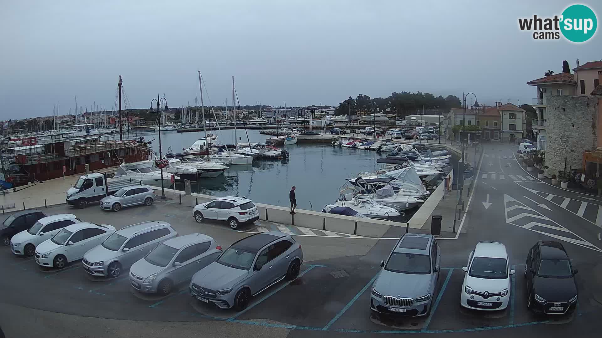 Novigrad | Porporela marina