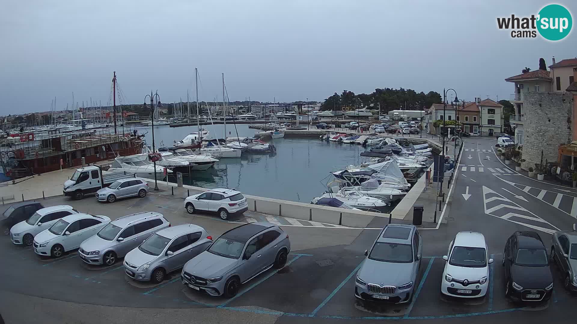 Novigrad | Porporela marina