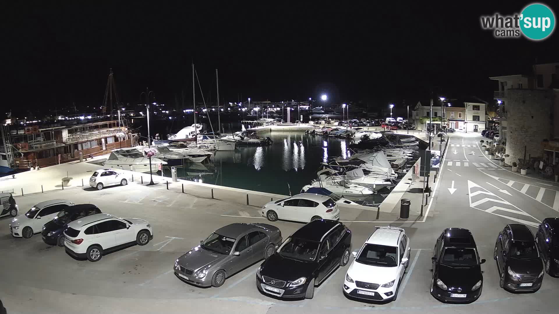 Novigrad | Porporela marina