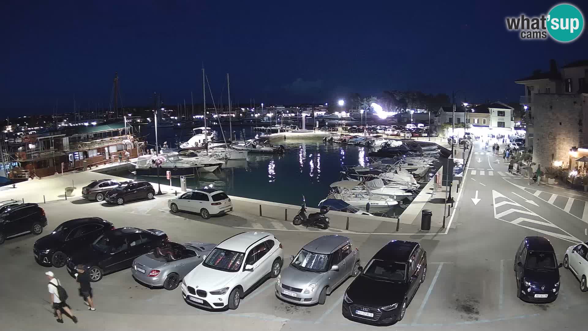 Novigrad | Porporela marina