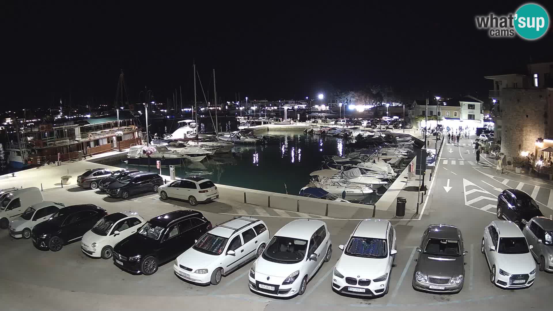 Novigrad | Porporela marina