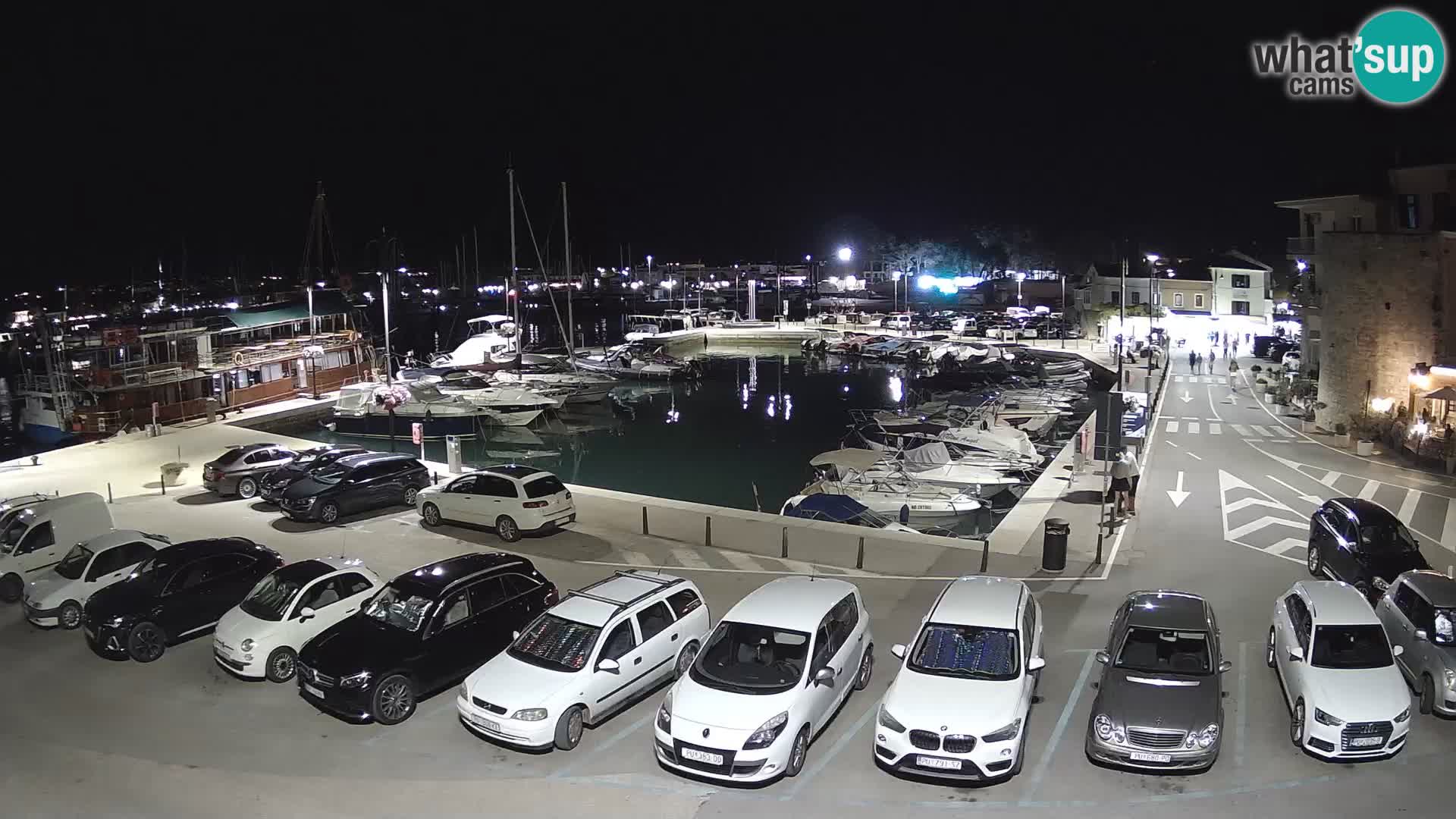 Novigrad | Porporela marina