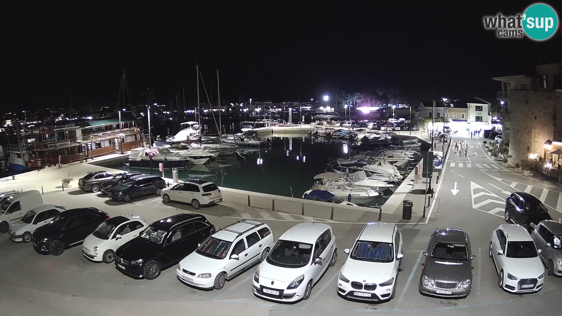 Novigrad | Porporela marina
