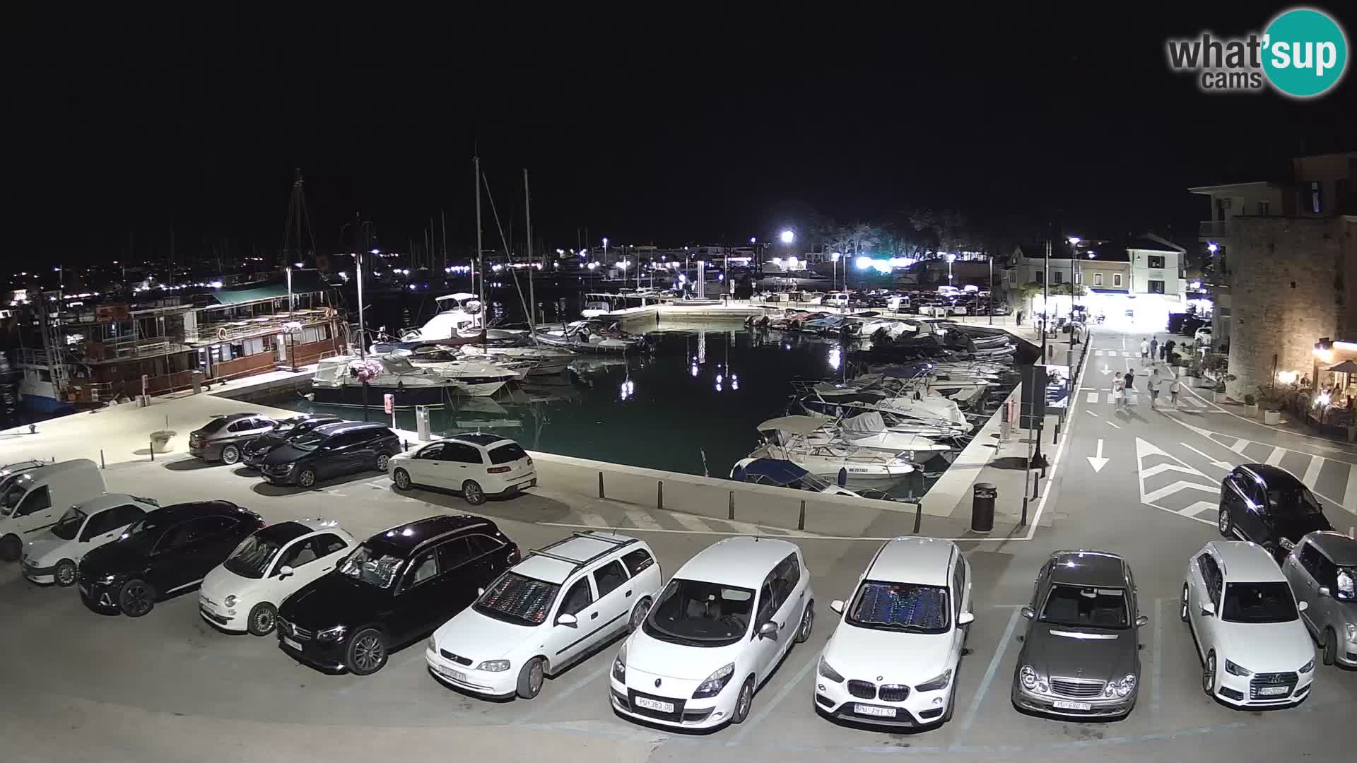 Novigrad | Porporela marina