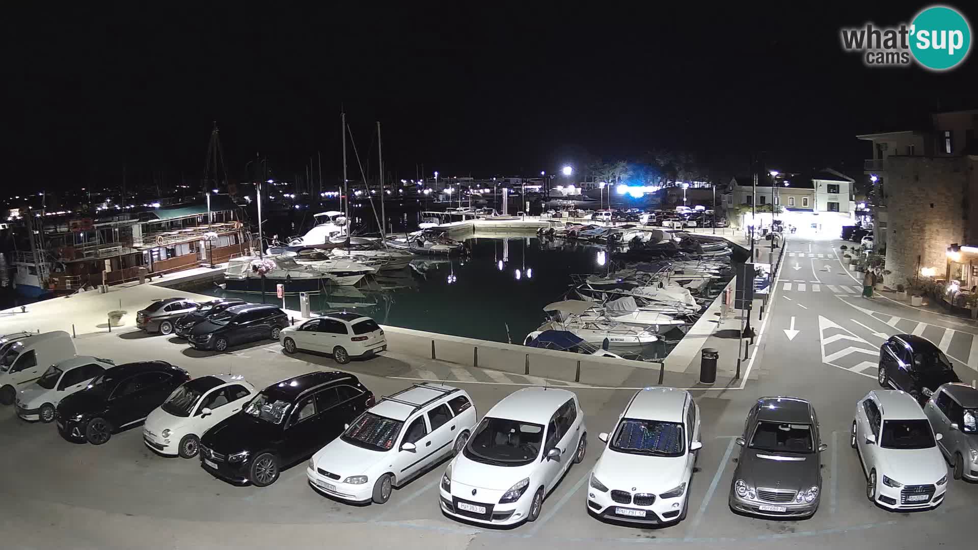Novigrad | Porporela marina